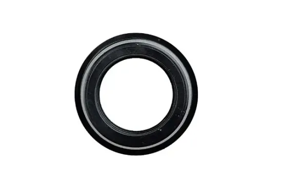 Dichtring, Kerzenschacht MTR 13311525 Bild Dichtring, Kerzenschacht MTR 13311525