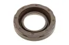 Dichtring, Kerzenschacht MTR 13311580
