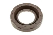 Dichtring, Kerzenschacht MTR 13311580