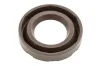 Dichtring, Kerzenschacht MTR 13311580 Bild Dichtring, Kerzenschacht MTR 13311580
