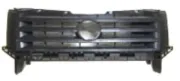 Kühlergitter Mitte MTR 13504628