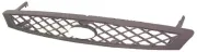 Kühlergitter Mitte MTR 30064251