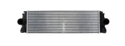 Ladeluftkühler MTR 30066468