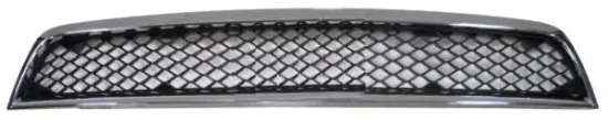 Kühlergitter MTR 30068260 Bild Kühlergitter MTR 30068260