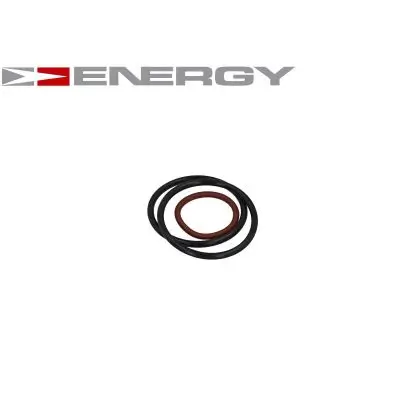Kraftstoffpumpe 12 V im Kraftstoffbehälter ENERGY G10029/1 Bild Kraftstoffpumpe 12 V im Kraftstoffbehälter ENERGY G10029/1