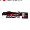 Freilaufknarre ENERGY NE00296 Bild Freilaufknarre ENERGY NE00296