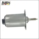 Stellelement, Exzenterwelle (variabler Ventilhub) hajus Autoteile 1091022