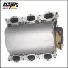 Saugrohrmodul hajus Autoteile 2511008 Bild Saugrohrmodul hajus Autoteile 2511008