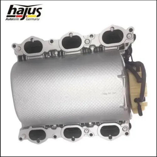 Saugrohrmodul hajus Autoteile 2511008 Bild Saugrohrmodul hajus Autoteile 2511008