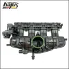 Saugrohrmodul hajus Autoteile 2511010 Bild Saugrohrmodul hajus Autoteile 2511010