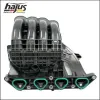 Saugrohrmodul hajus Autoteile 2511012 Bild Saugrohrmodul hajus Autoteile 2511012