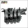 Saugrohrmodul hajus Autoteile 2511012 Bild Saugrohrmodul hajus Autoteile 2511012