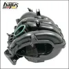 Saugrohrmodul hajus Autoteile 2511012 Bild Saugrohrmodul hajus Autoteile 2511012