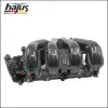 Saugrohrmodul hajus Autoteile 2511019 Bild Saugrohrmodul hajus Autoteile 2511019