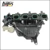 Saugrohrmodul hajus Autoteile 2511019 Bild Saugrohrmodul hajus Autoteile 2511019