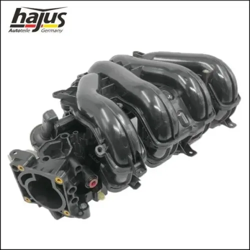 Saugrohrmodul hajus Autoteile 2511019 Bild Saugrohrmodul hajus Autoteile 2511019