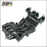 Saugrohrmodul hajus Autoteile 2511022