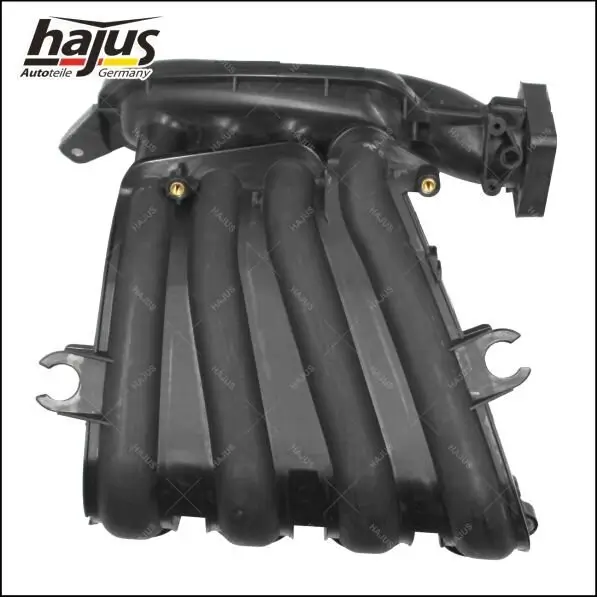 Saugrohrmodul hajus Autoteile 2511036