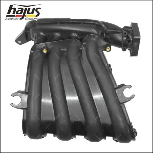 Saugrohrmodul hajus Autoteile 2511036 Bild Saugrohrmodul hajus Autoteile 2511036