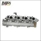 Saugrohrmodul hajus Autoteile 2511042