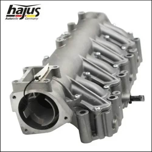 Saugrohrmodul hajus Autoteile 2511042 Bild Saugrohrmodul hajus Autoteile 2511042