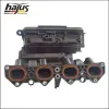 Saugrohrmodul hajus Autoteile 2511046