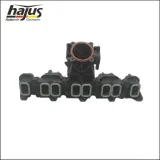 Saugrohrmodul hajus Autoteile 2511054