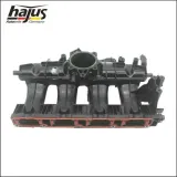 Saugrohrmodul hajus Autoteile 2511060