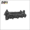 Saugrohrmodul hajus Autoteile 2511065 Bild Saugrohrmodul hajus Autoteile 2511065