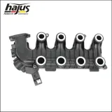 Saugrohrmodul hajus Autoteile 2511068