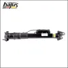 Luftfederbein hinten hajus Autoteile 4121056 Bild Luftfederbein hinten hajus Autoteile 4121056