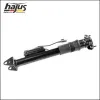 Luftfederbein hinten hajus Autoteile 4121056 Bild Luftfederbein hinten hajus Autoteile 4121056