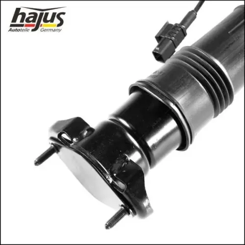 Luftfederbein hinten hajus Autoteile 4121056 Bild Luftfederbein hinten hajus Autoteile 4121056