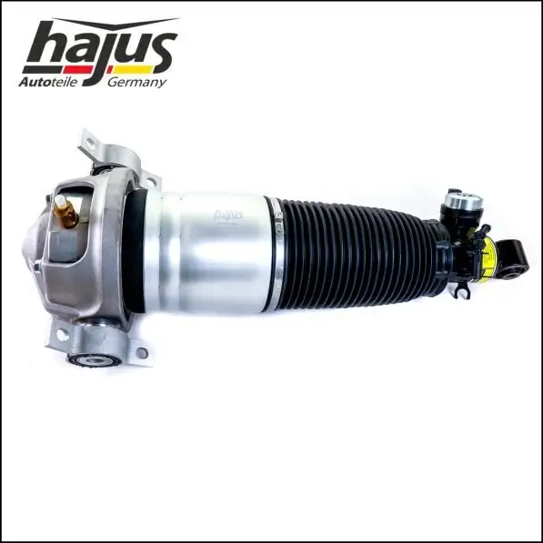 Luftfederbein Hinterachse links hajus Autoteile 4121105