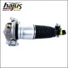 Luftfederbein Hinterachse links hajus Autoteile 4121105 Bild Luftfederbein Hinterachse links hajus Autoteile 4121105