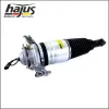 Luftfederbein Hinterachse links hajus Autoteile 4121111 Bild Luftfederbein Hinterachse links hajus Autoteile 4121111