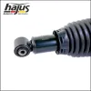 Luftfederbein Hinterachse links hajus Autoteile 4121111 Bild Luftfederbein Hinterachse links hajus Autoteile 4121111
