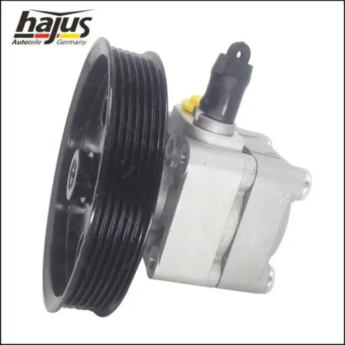 Hydraulikpumpe, Lenkung hajus Autoteile 4221046 Bild Hydraulikpumpe, Lenkung hajus Autoteile 4221046