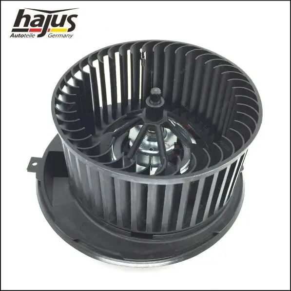 Innenraumgebläse 12 V hajus Autoteile 8191007