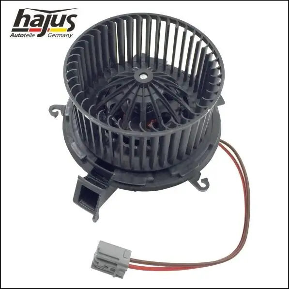 Innenraumgebläse 12 V hajus Autoteile 8191048