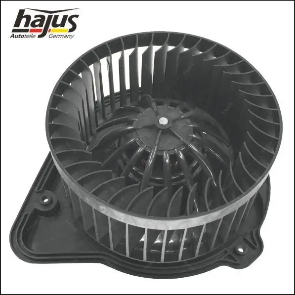 Innenraumgebläse 12 V hajus Autoteile 8191053