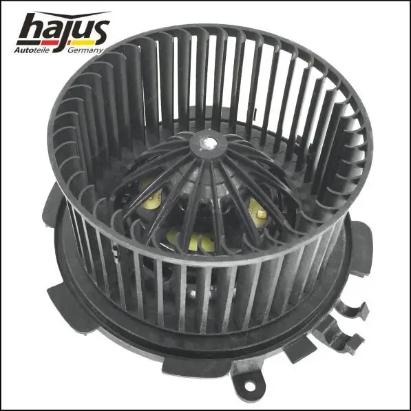 Innenraumgebläse 12 V hajus Autoteile 8191054