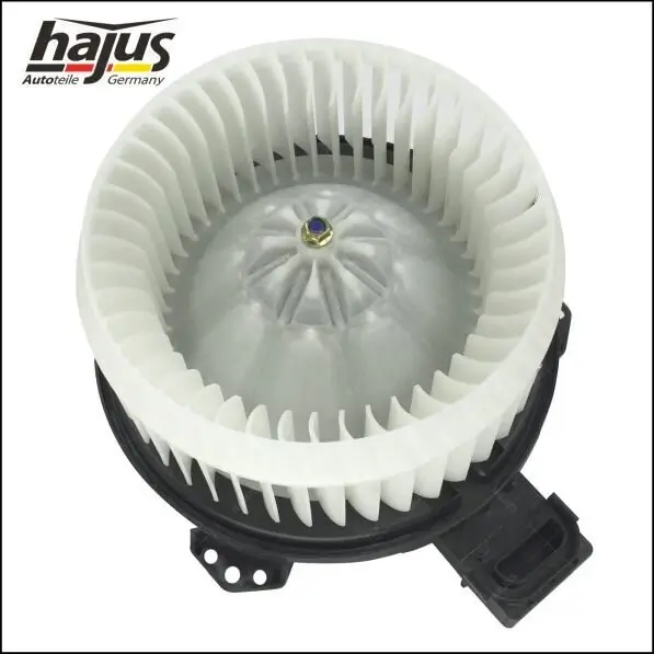 Innenraumgebläse 12 V hajus Autoteile 8191069