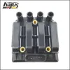 Zündspule 12 V hajus Autoteile 9411011 Bild Zündspule 12 V hajus Autoteile 9411011