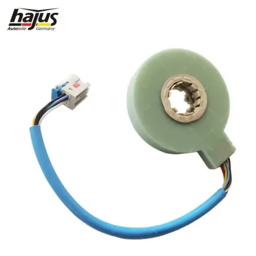 Wischermotor 12 V vorne hajus Autoteile 9591260 Bild Wischermotor 12 V vorne hajus Autoteile 9591260