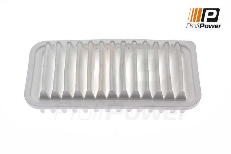 Luftfilter ProfiPower 2F0117