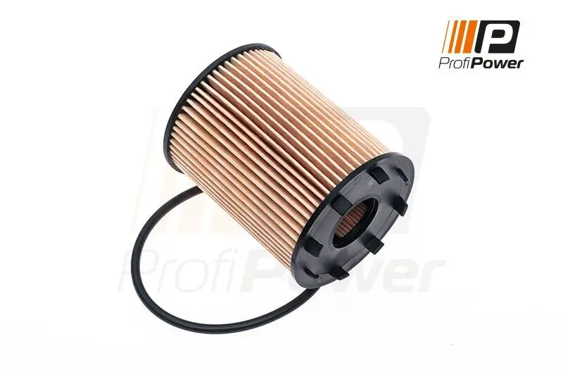 Ölfilter ProfiPower 1F0043