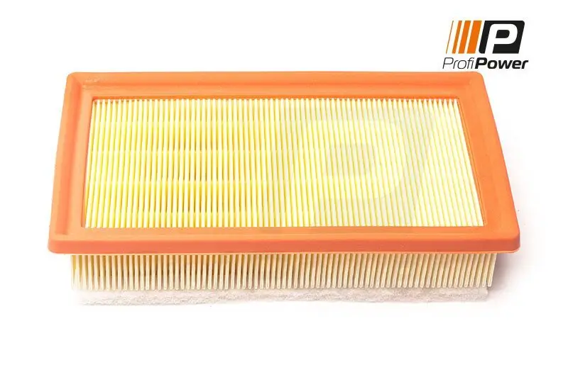 Luftfilter ProfiPower 2F0194