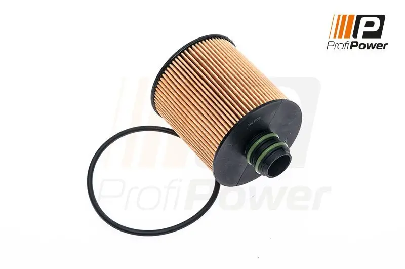 Ölfilter ProfiPower 1F0100