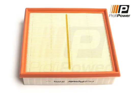 Luftfilter ProfiPower 2F0219 Bild Luftfilter ProfiPower 2F0219